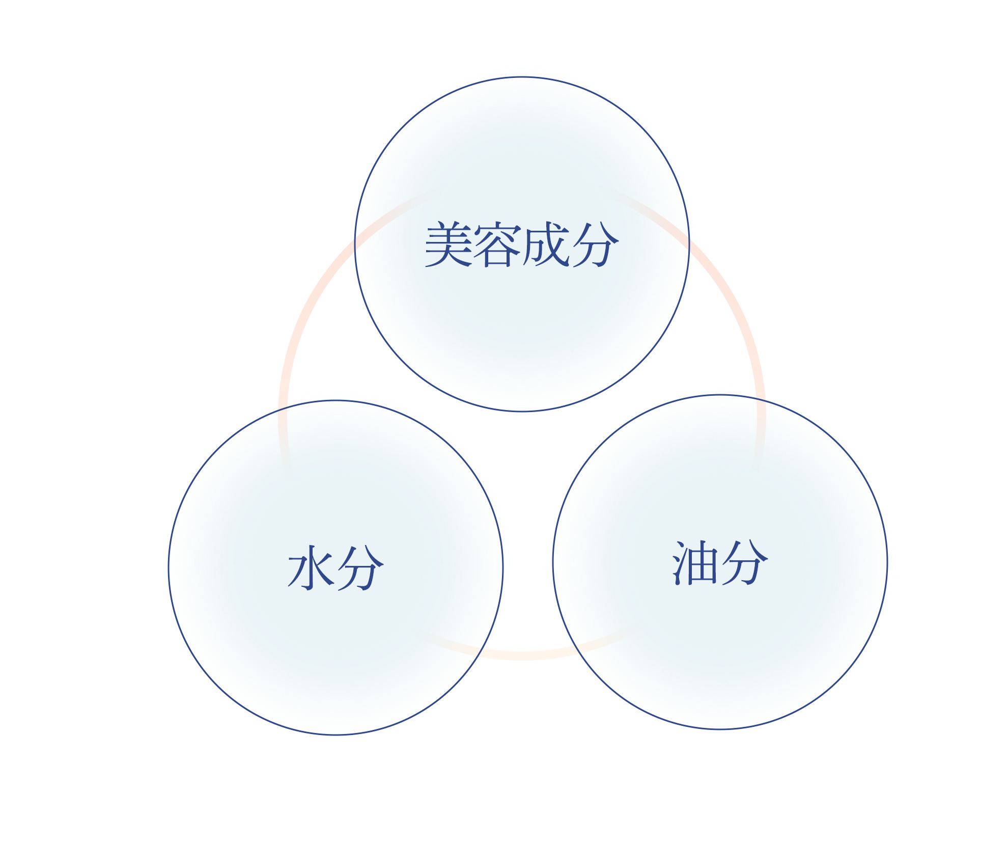 美容成分×油分×水分